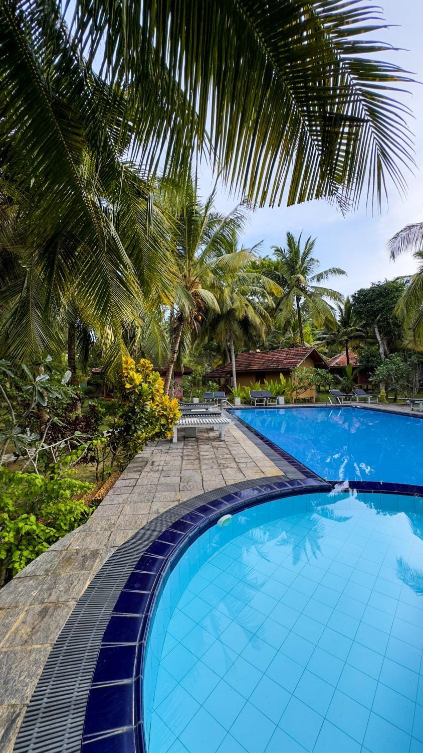 Day, Natural landscape, Garden, Garden view, Pool view, Swimming pool
