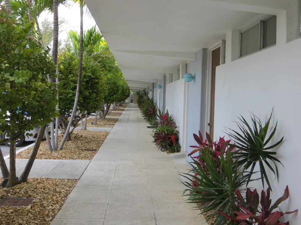Area and facilities