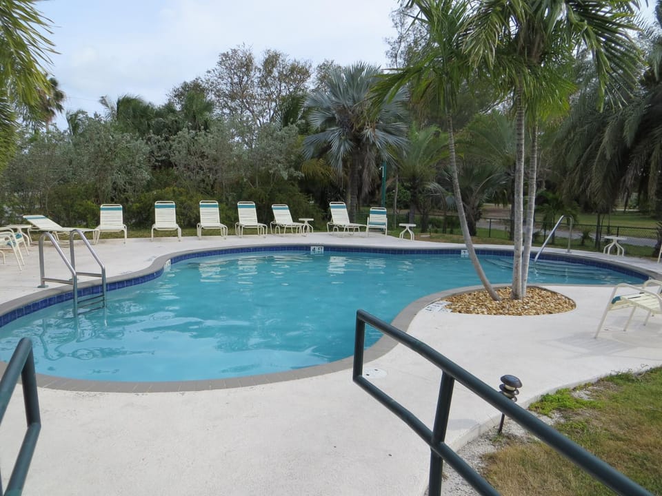Swimming pool, Swimming pool