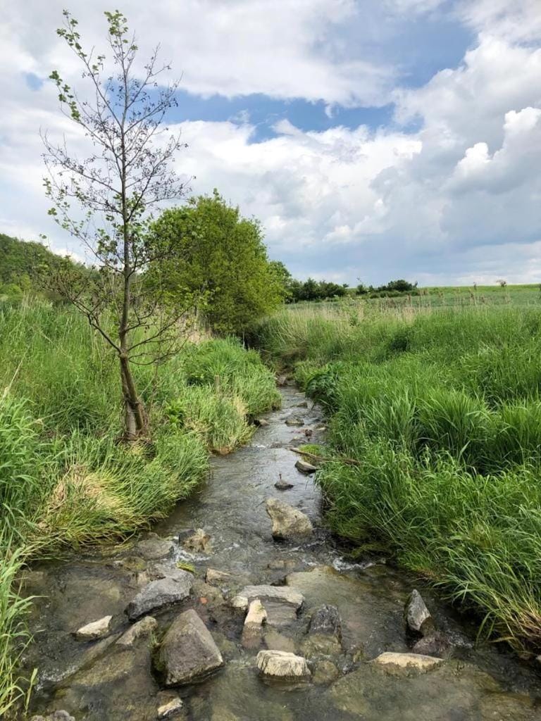 Natural landscape