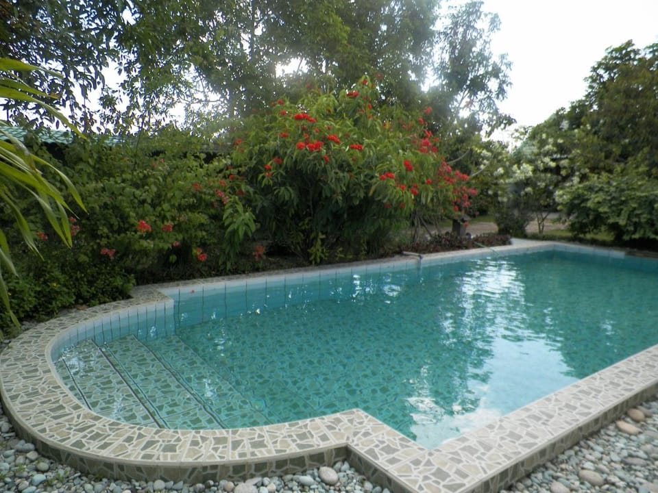 Swimming pool, Swimming pool
