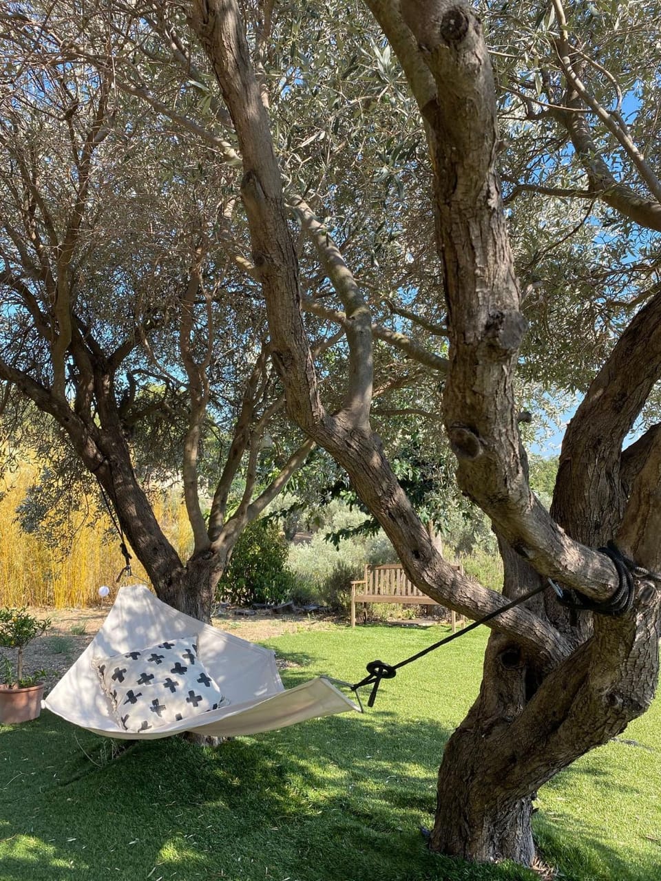 Day, Natural landscape, Garden, Garden view