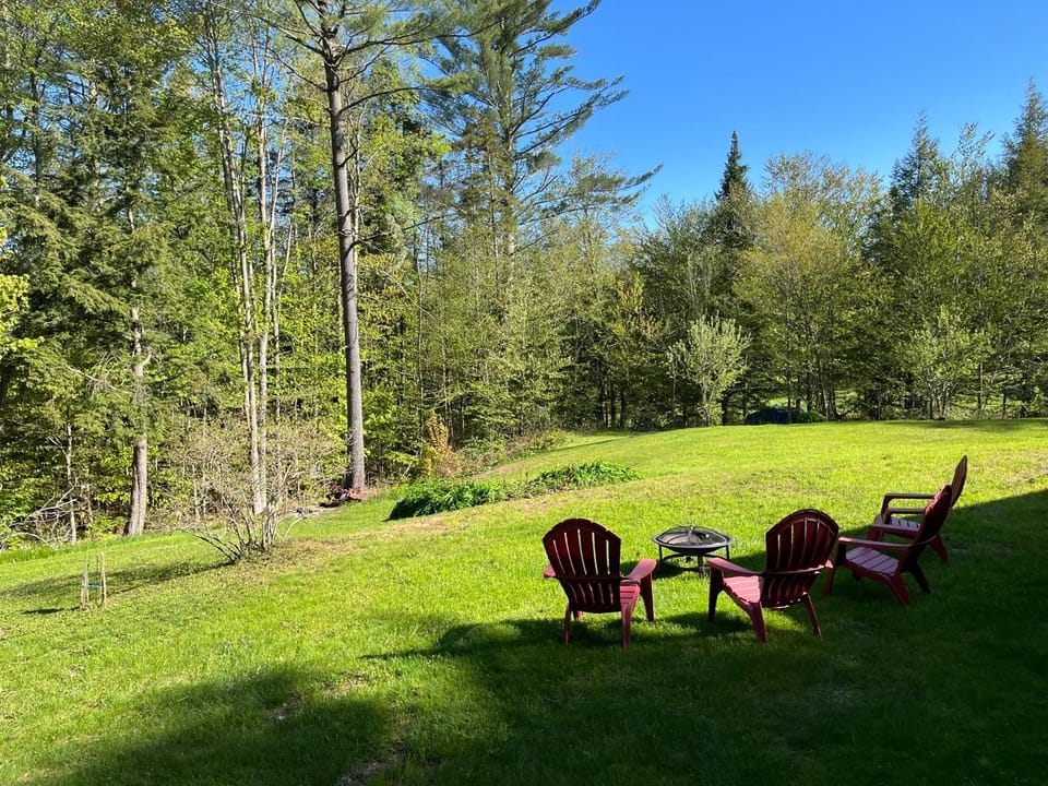 Day, Natural landscape, Garden view