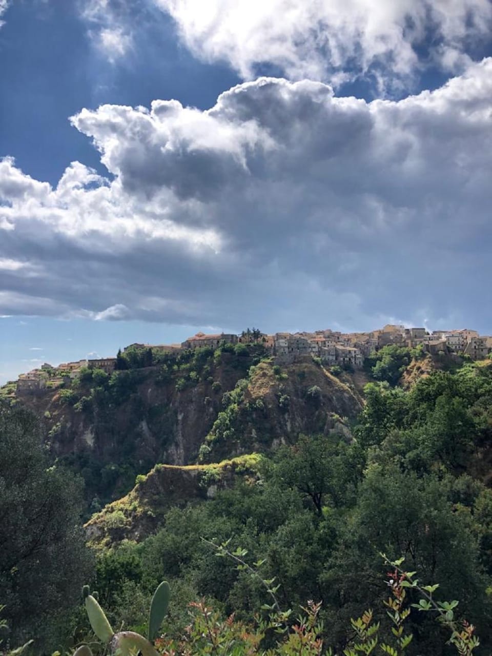 Natural landscape