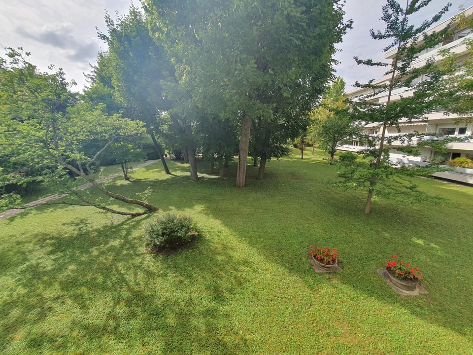 Natural landscape, Garden, Garden view