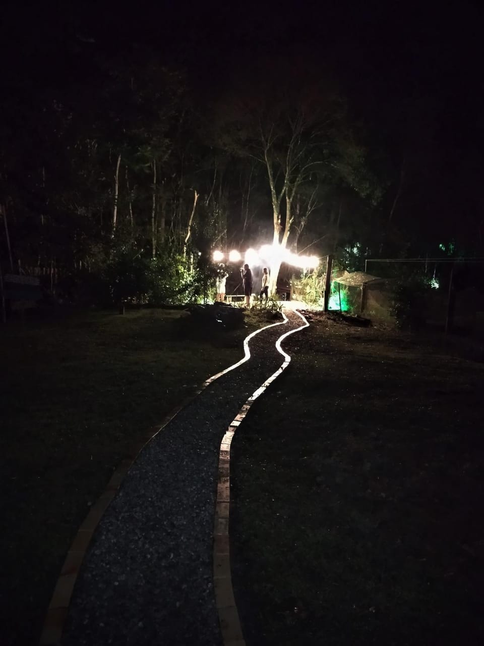 Night, Natural landscape, Garden, Garden view