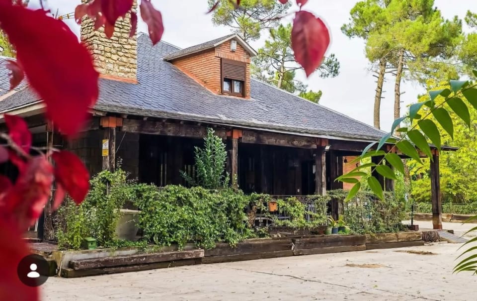 Property building, Spring, Natural landscape, Garden, Garden view