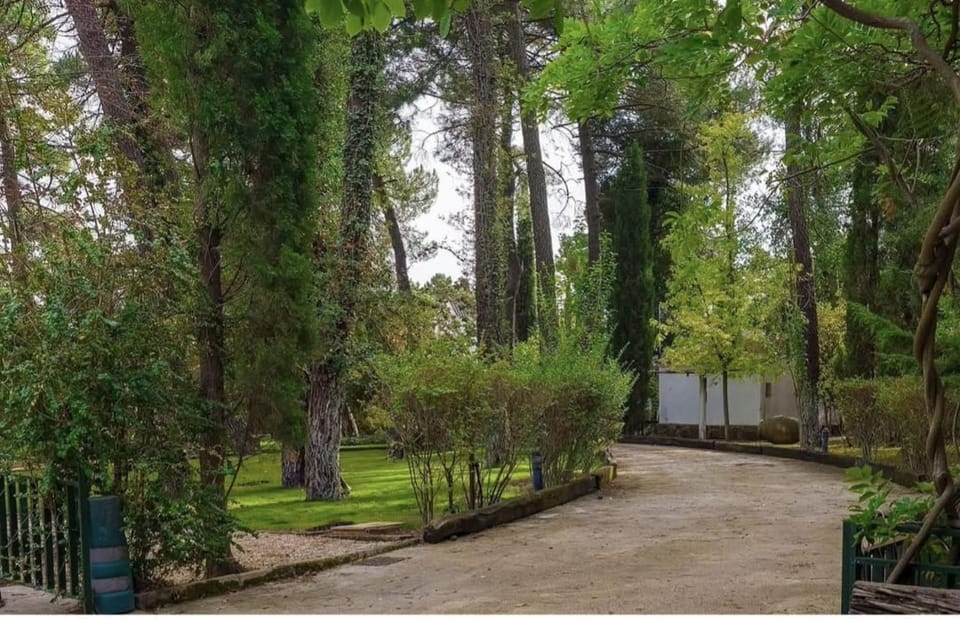 Off site, Day, Natural landscape, Garden, Garden view