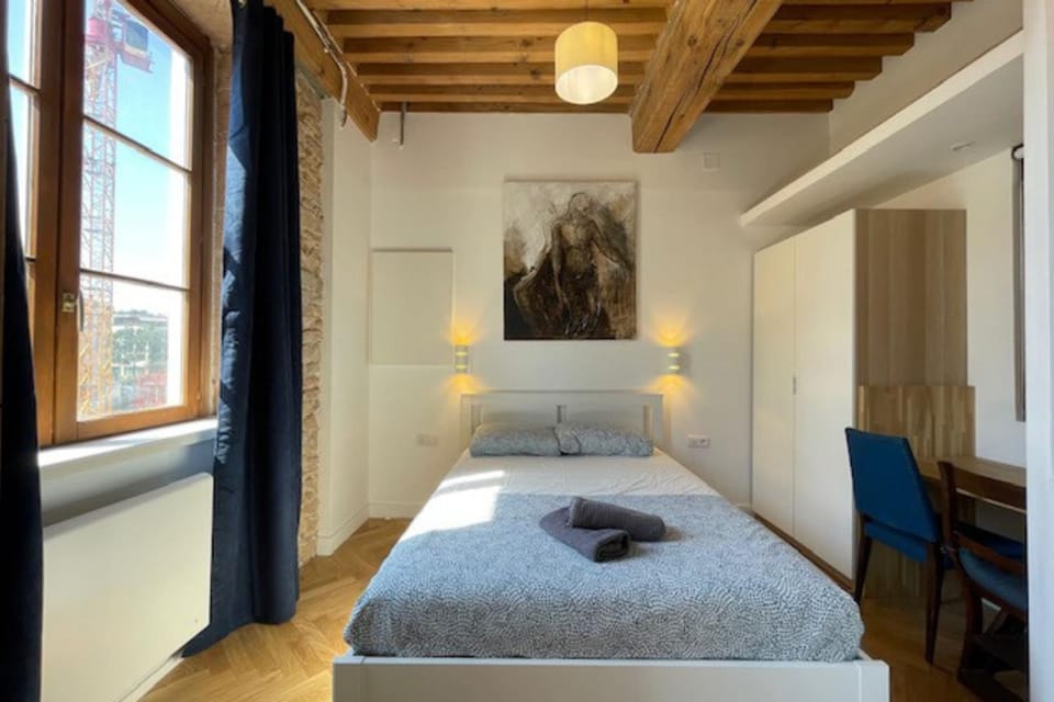 Le Petit St Pierre charmant 2 pers Valmy Apartment in Lyon
