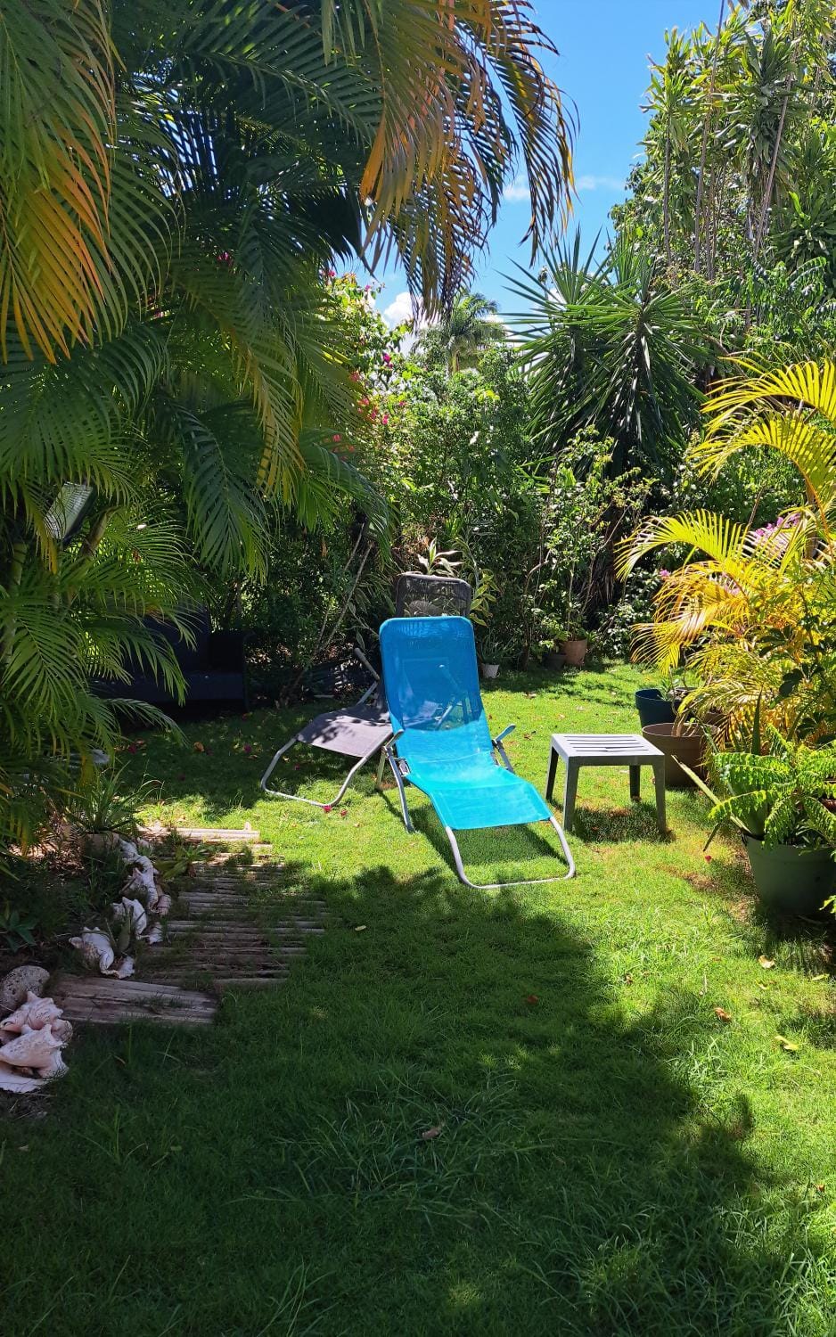 Garden, Garden view, sunbed