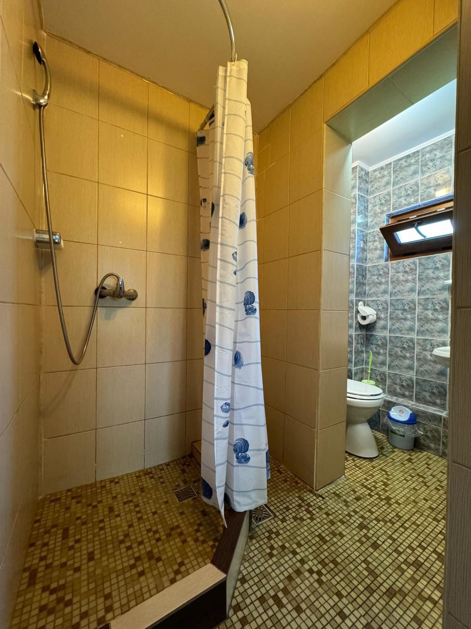 Shower, Toilet, towels