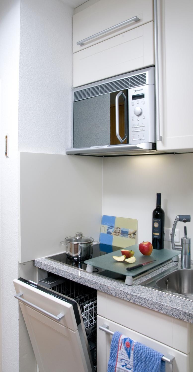 dishwasher, minibar, stove, kitchen