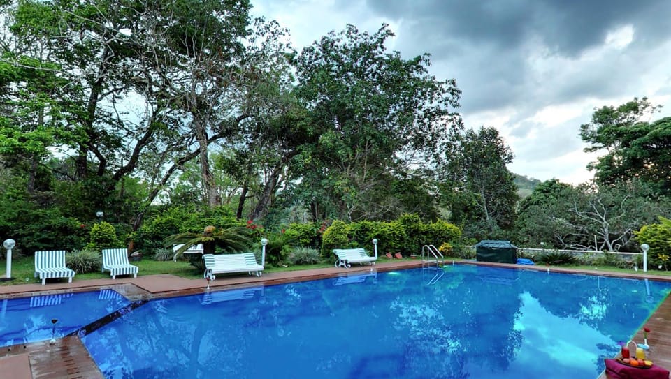 Swimming pool, Swimming pool