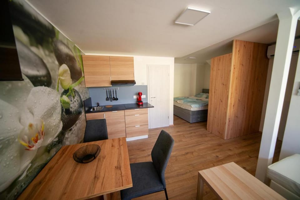Sport apartments Apartment in 4240 Radovljica, Slovenia