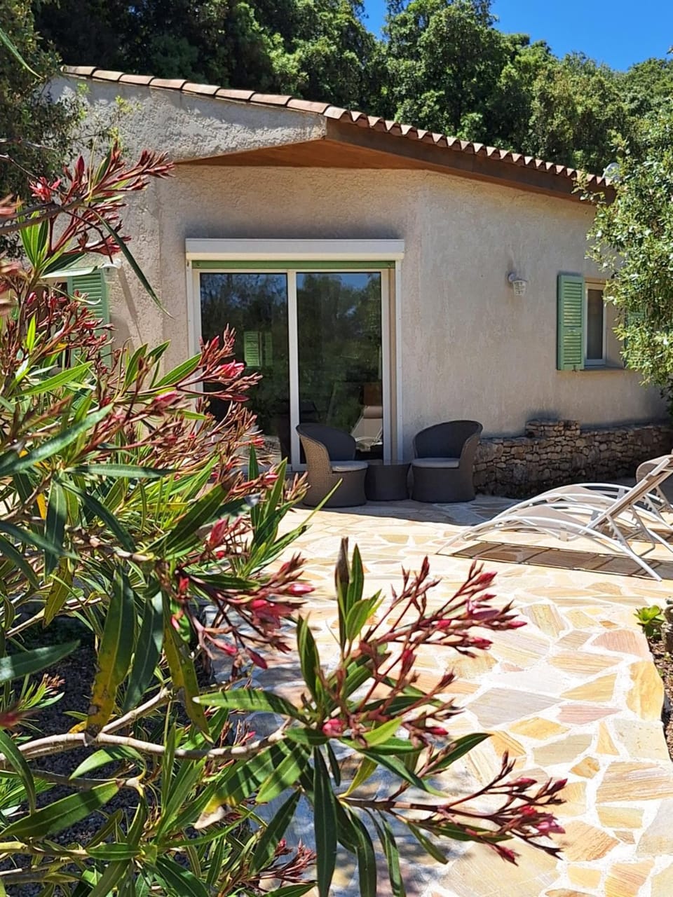 Patio, Day