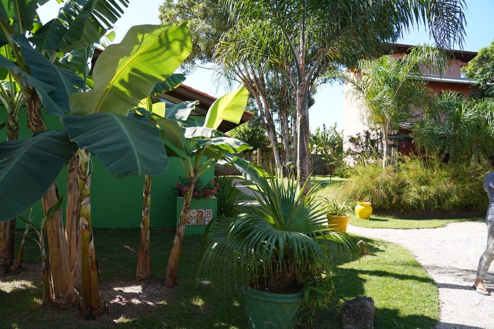 Spring, Garden, Garden, Garden view