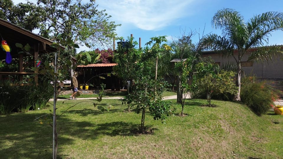 Natural landscape, Garden, Garden view