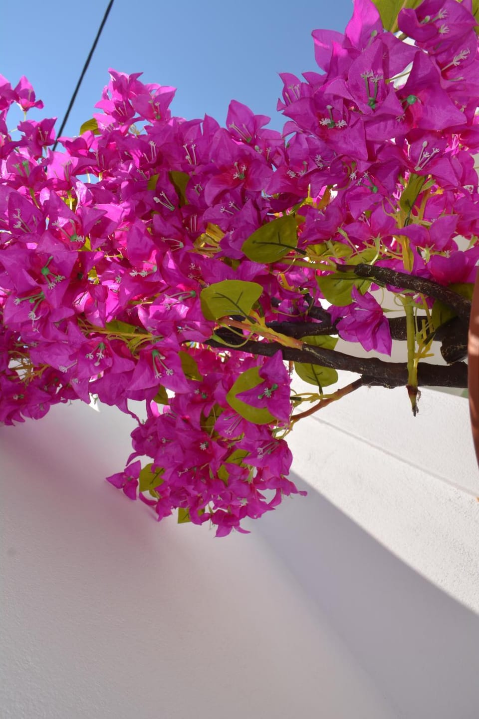 Patio, Balcony/Terrace