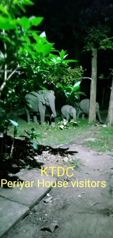 KTDC Periyar House Resort in Kerala