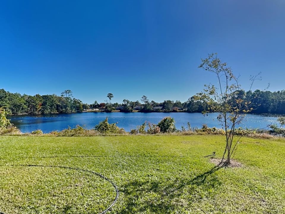 Natural landscape, Garden, Lake view