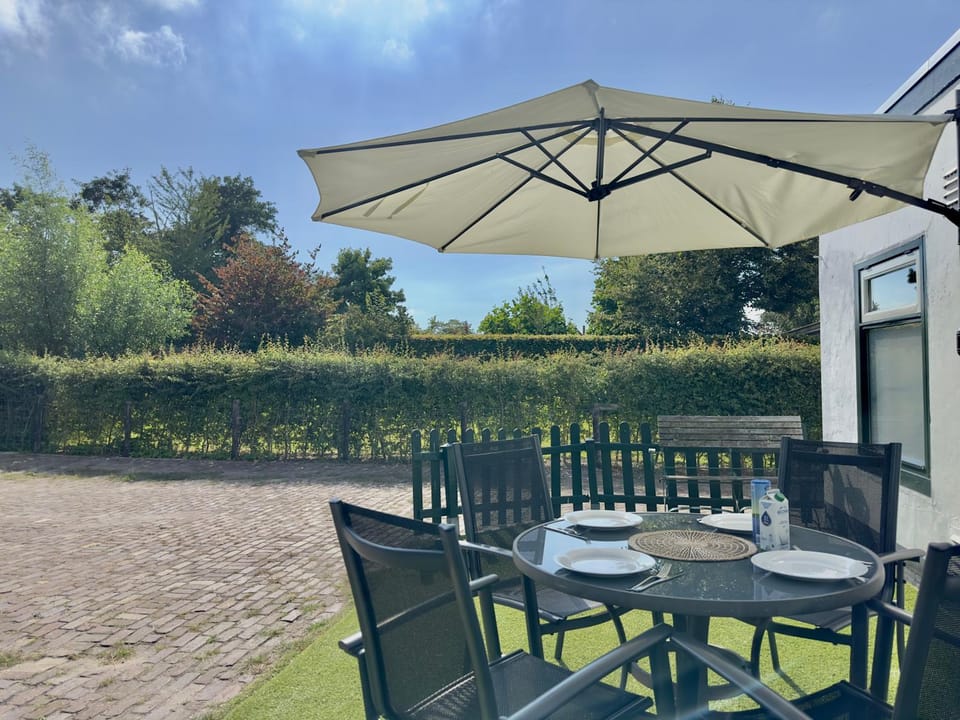 Day, Garden, Garden view