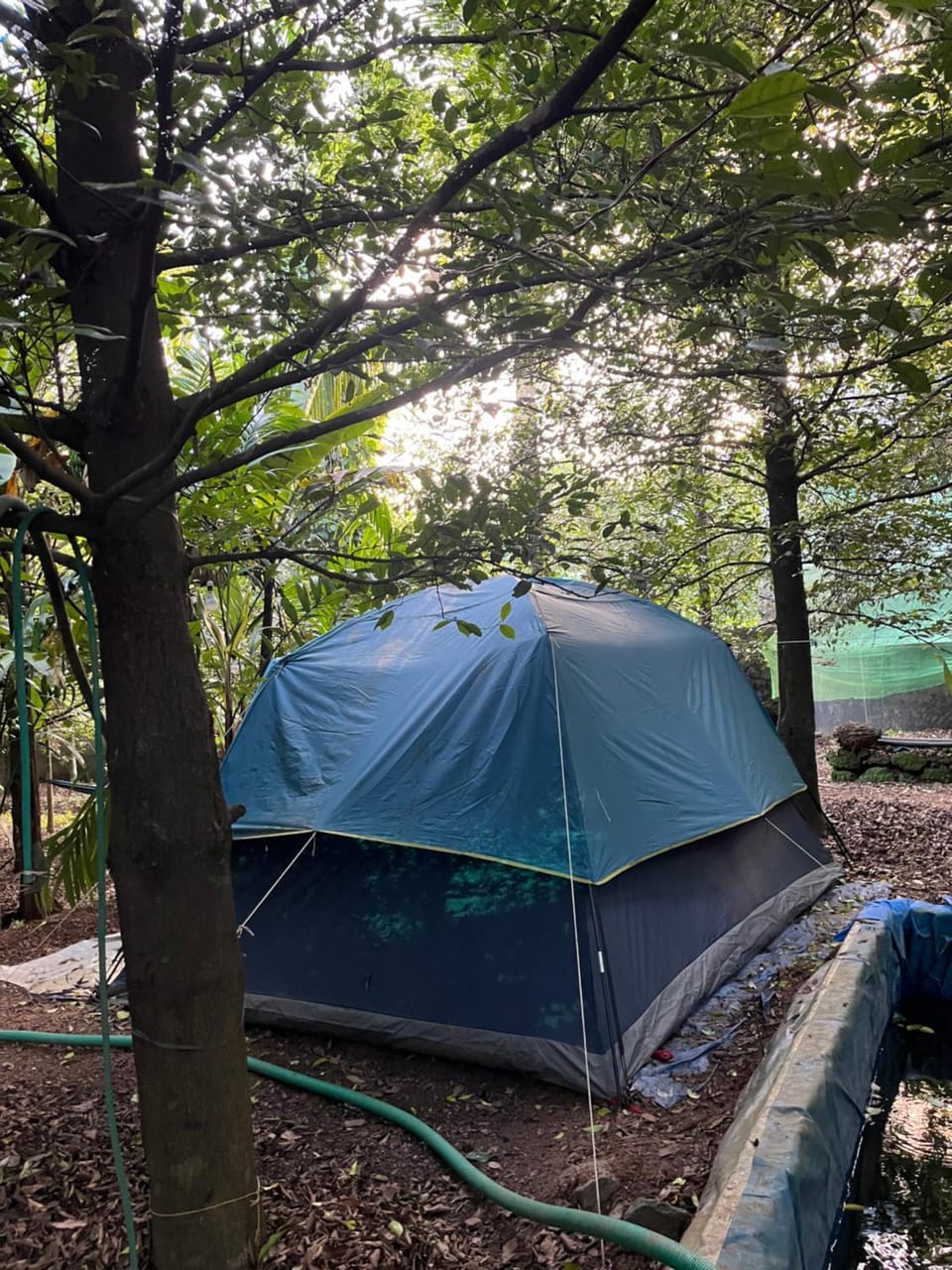 Dragster Tents Luxury tent in Kerala