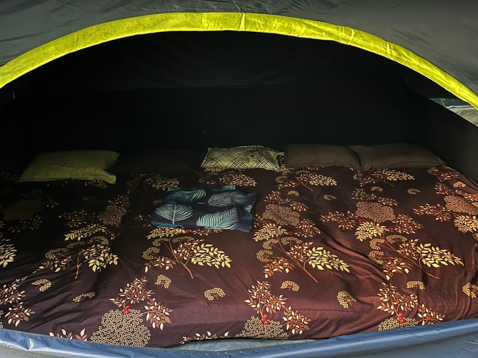Dragster Tents Luxury tent in Kerala
