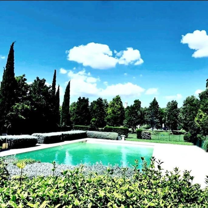 Spring, Day, Swimming pool
