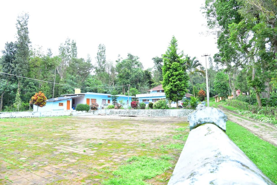 Property building, Garden