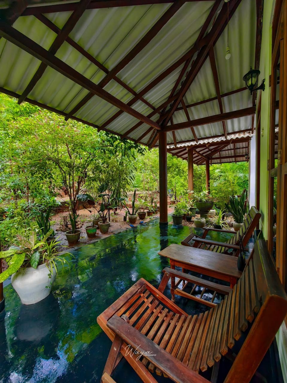 Garden view