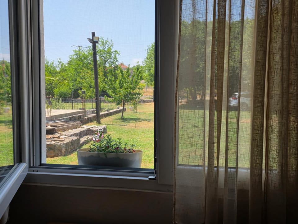 Natural landscape, Garden, Garden view