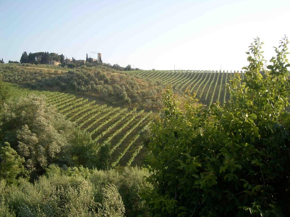 Natural landscape, View (from property/room)