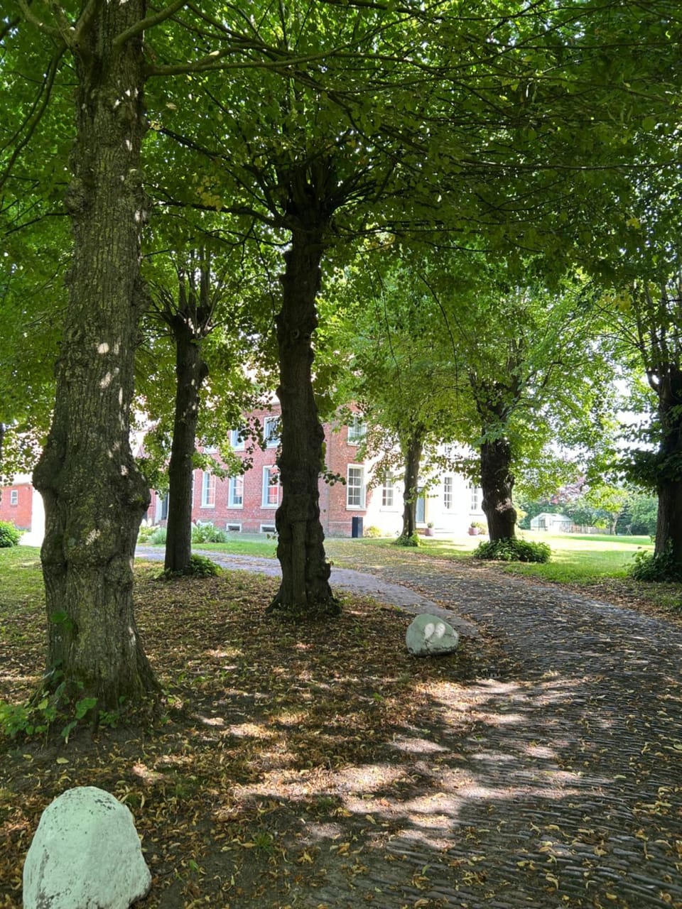 Natural landscape, Garden view