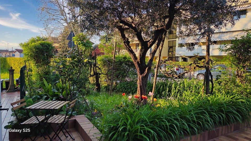 Spring, Day, Garden view
