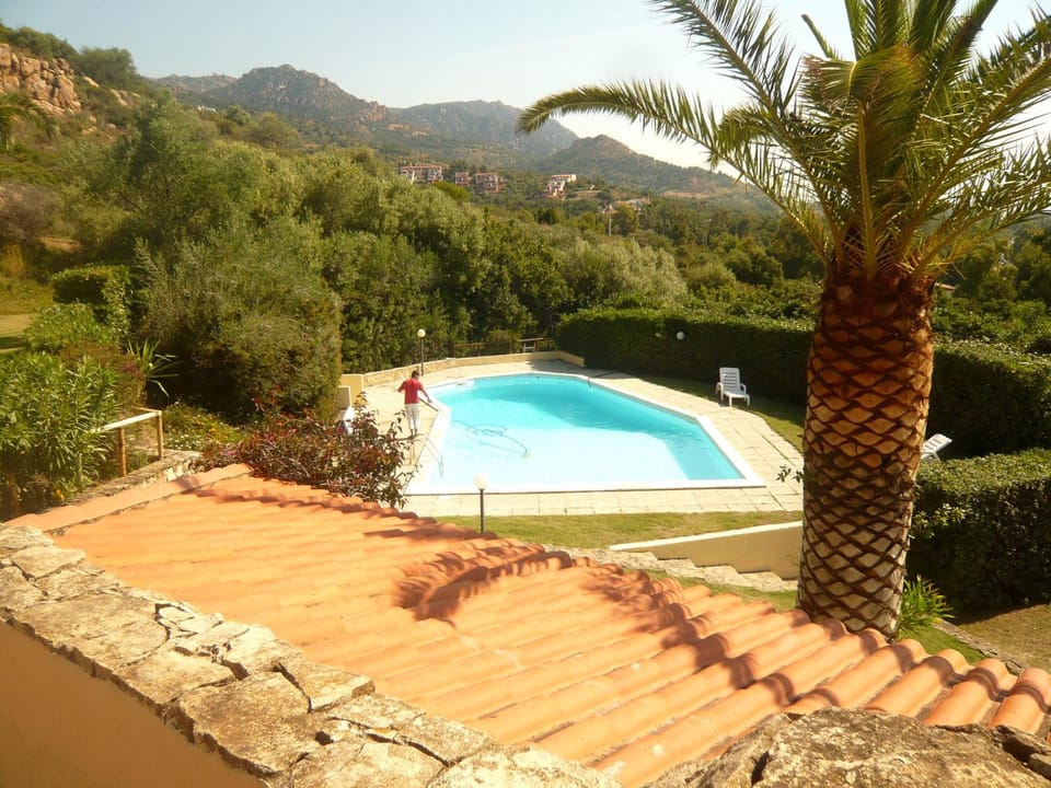 Garden, Swimming pool