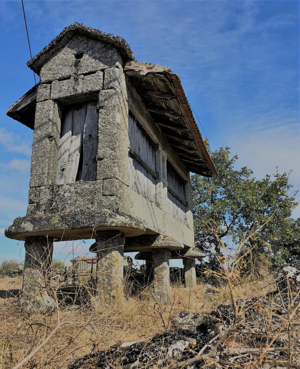 Casa do Barrosinho House in Vila Real District
