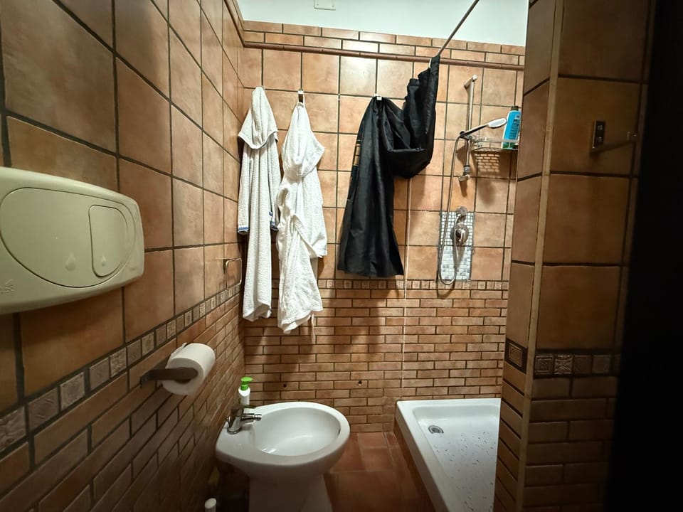 Shower, Toilet, Bathroom, bidet, towels