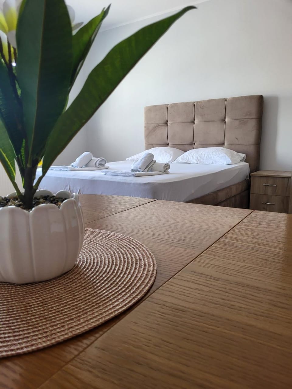 Trpeza Prenociste Apartment in Serbia