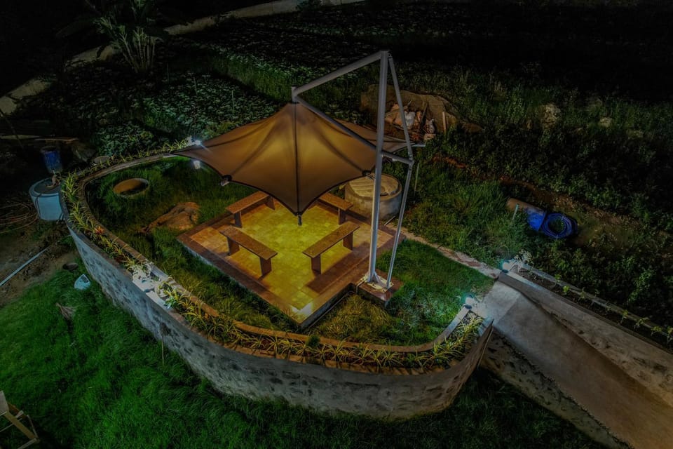 Night, Bird's eye view, Garden, Garden view