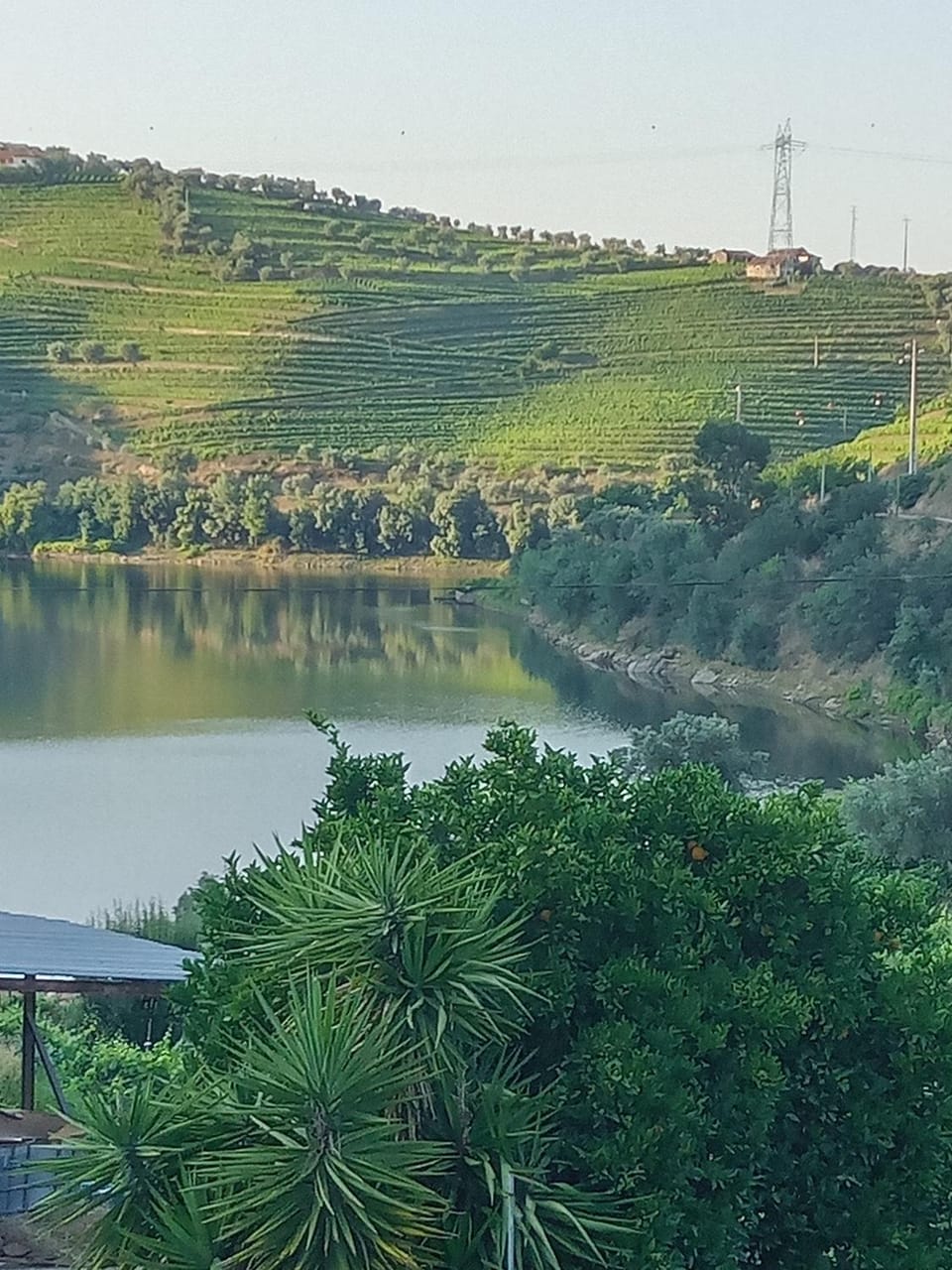 River view