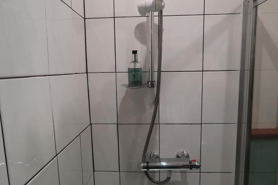 Shower, Toilet, Night, Bathroom, Bedroom, Autumn, On site