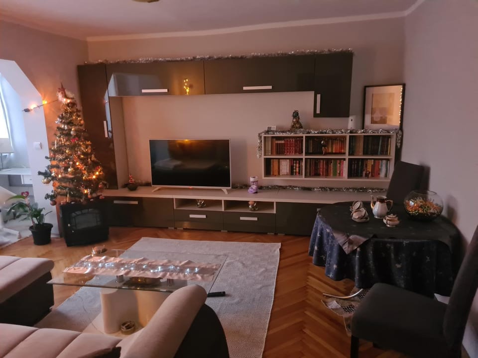 Lara's Residence Apartment in Timisoara