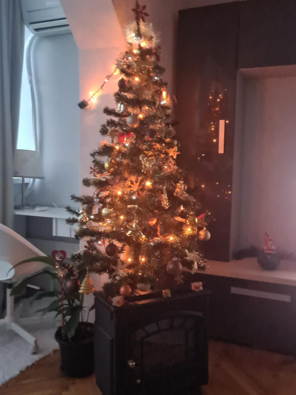 Lara's Residence Apartment in Timisoara