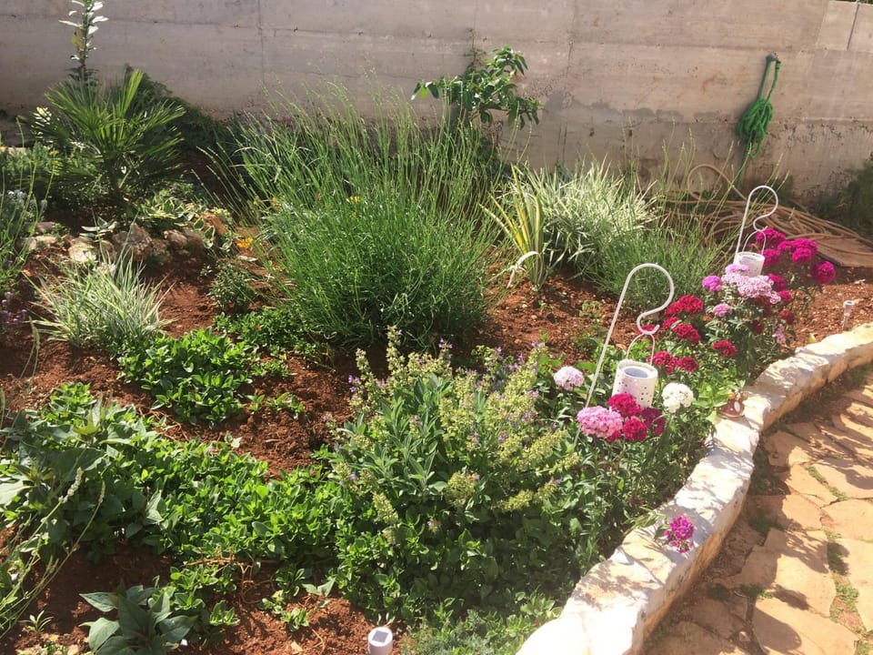 Balcony/Terrace, Garden view, Inner courtyard view