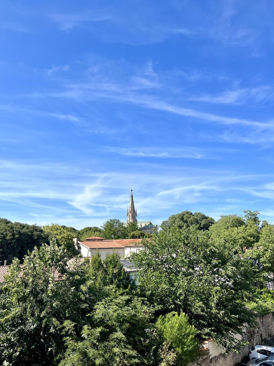 Natural landscape, Garden view
