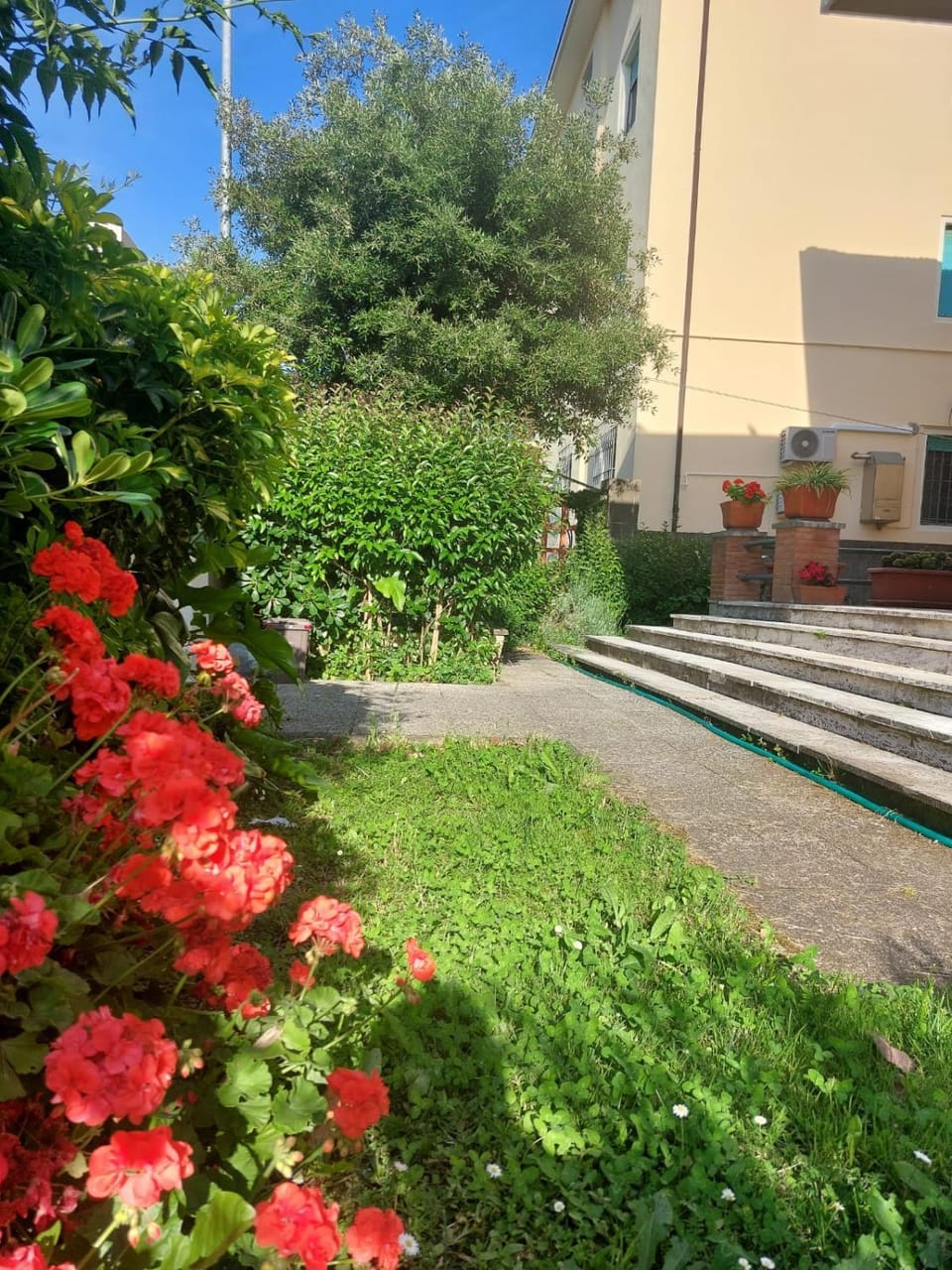 Facade/entrance, Day, Garden, Garden view
