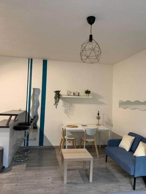 Grand studio centre ville Saint-Etienne Apartment in Saint-Étienne