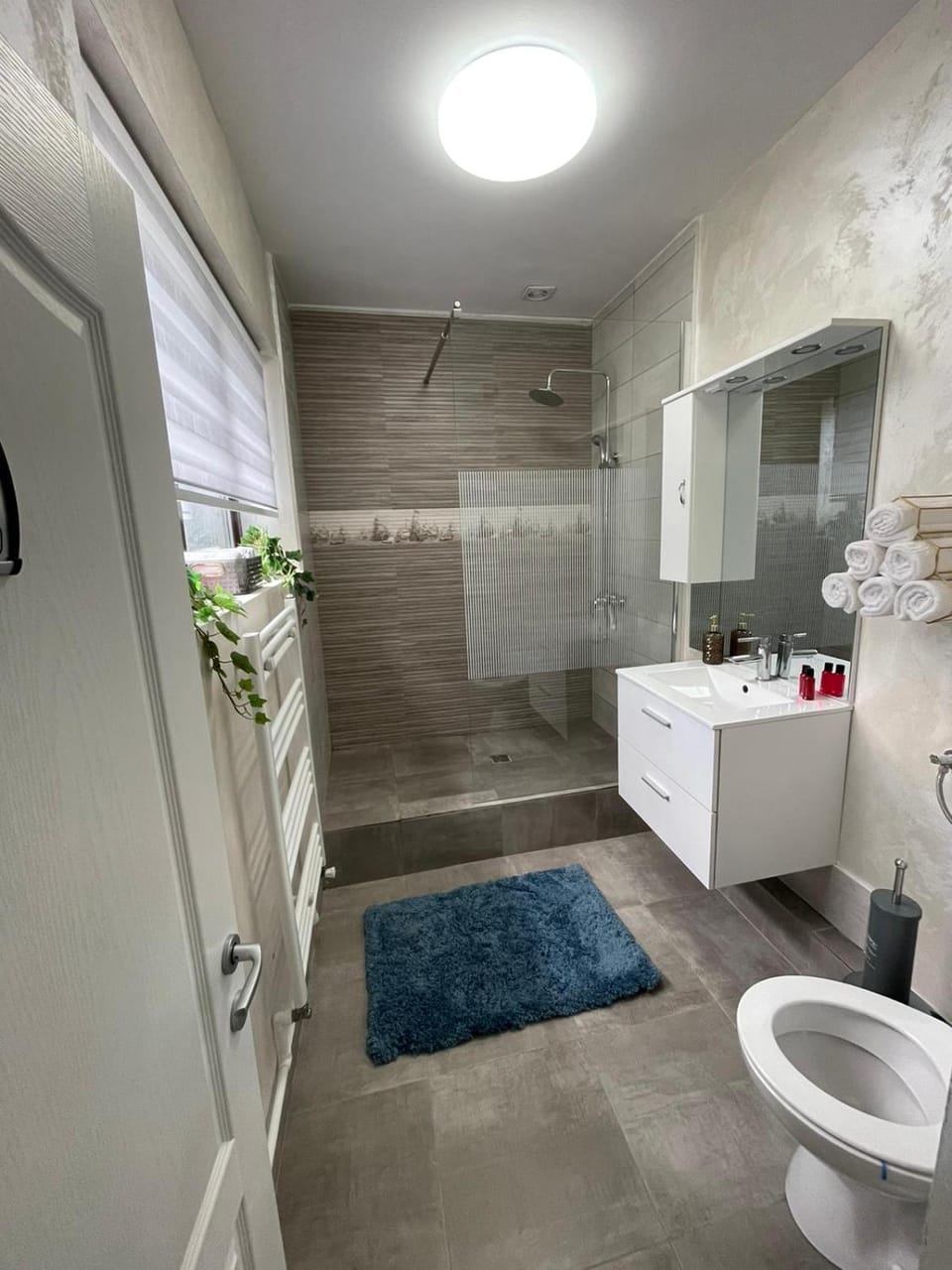 Shower, Toilet, Bathroom, towels
