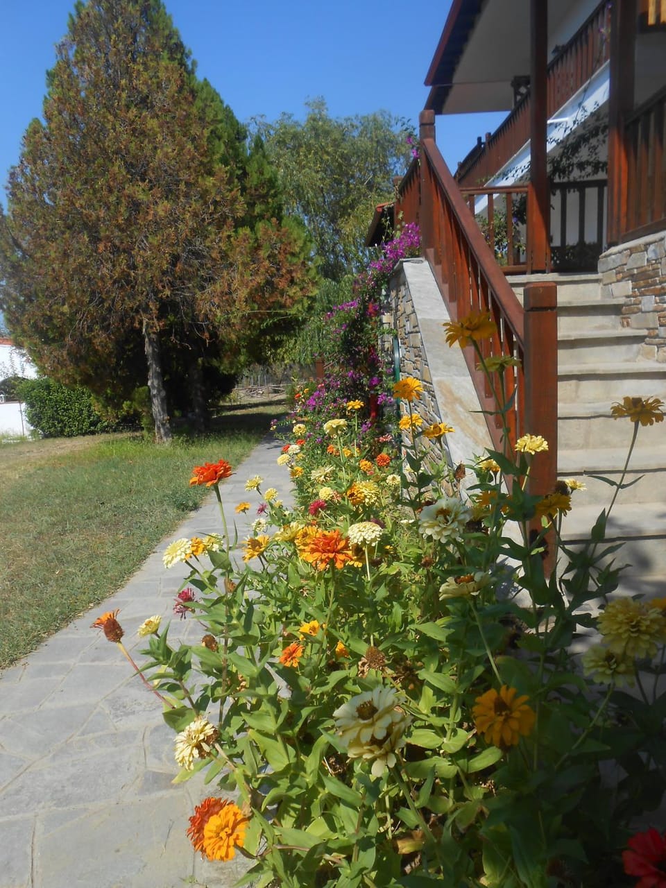Villa Nikiti Apartment in Nikiti