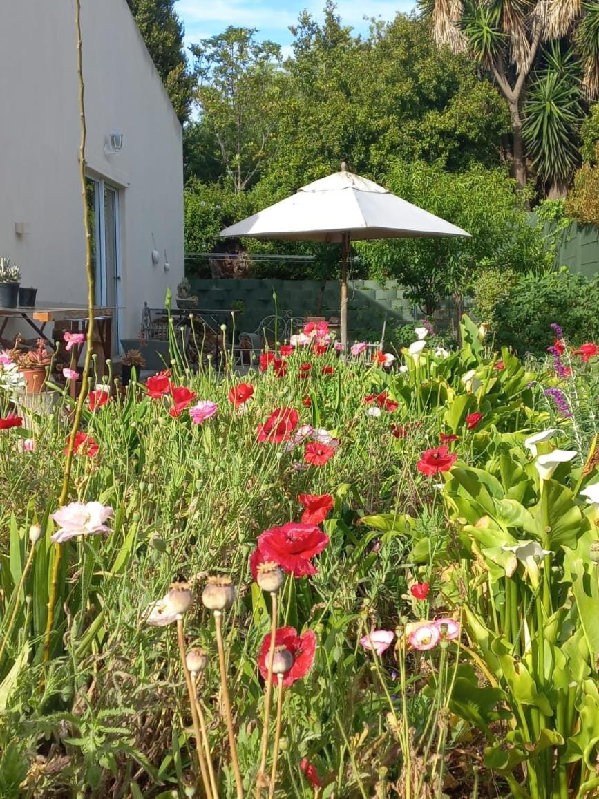 Good News Guest Units Apartment in Western Cape